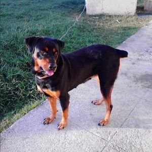 Meet your Posher, Marc